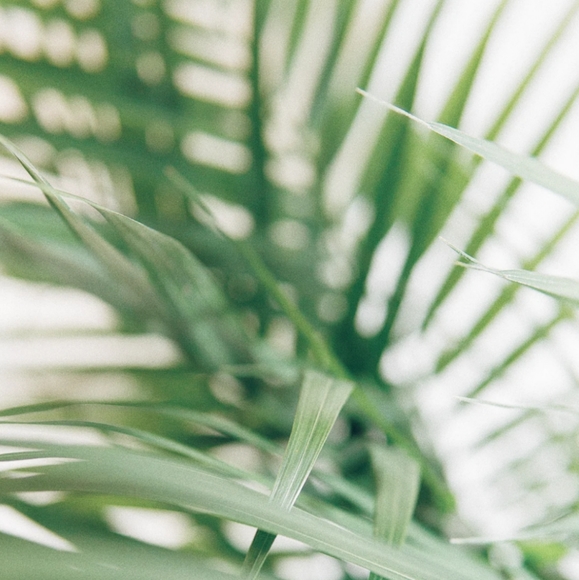 Tops and Blouses - Picture 1 of 1